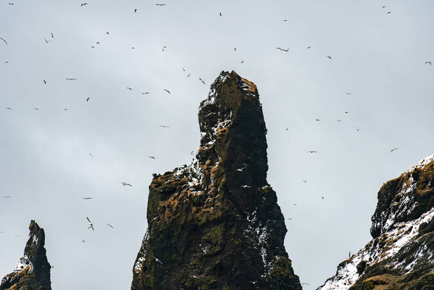 玄武岩の岩の形成黒いビーチでつま先を転がします。アイスランドのビック州レイニストランガーの嵐で - 写真・画像