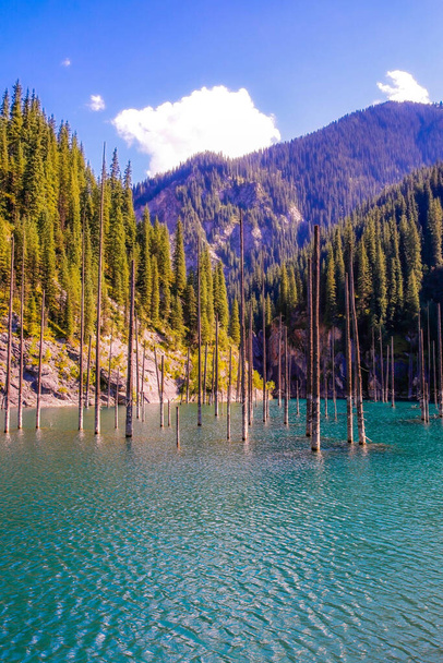 Kaindy Resort in der Region Almaty mit Bergseen und Kiefern im Wasser - Foto, Bild