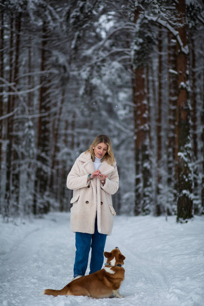 Νεαρό ξανθό θηλυκό παίζει με welsh corgi pembroke της σε ένα χειμερινό χιονισμένο δάσος. - Φωτογραφία, εικόνα