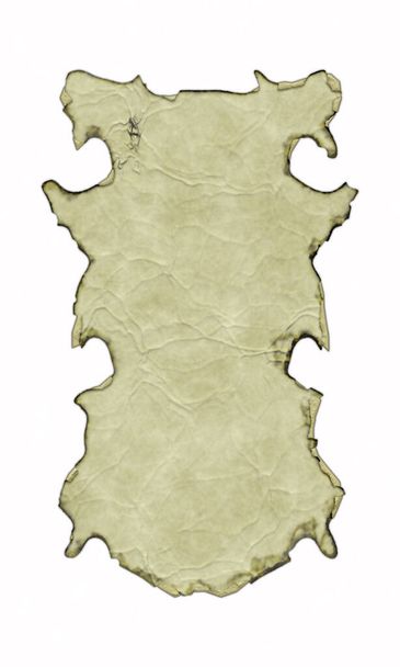 Антикварный пергаментный баннер с обожженными и изогнутыми краями на белом фоне. 3D фантазии иллюстрации. Старый винтажный свиток с морщинами и складками. Средневековый щит. Шаблон меню. - Фото, изображение