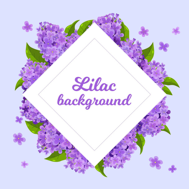 Lilac frame background. Floral banner. - Vector, Image