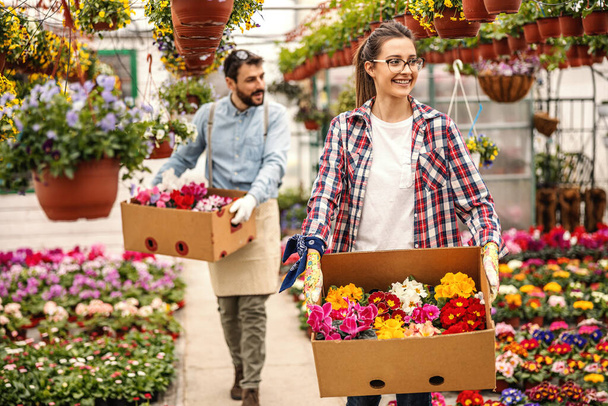Dos floristas sonrientes sosteniendo cajas con órdenes y caminando por el invernadero. En primer plano está la mujer. - Foto, Imagen