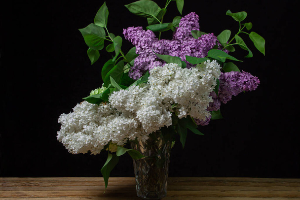Lilacs of different varieties on a black background. Spring flowers. Lilac on a dark background - Photo, Image