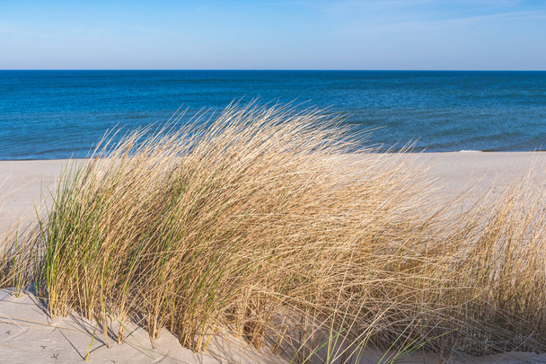 Гарне спокійне блакитне море з хвилями і піщаний пляж з очеретом і сухою травою серед дюн, концепція подорожі влітку і відпустки, кроки на піску
 - Фото, зображення