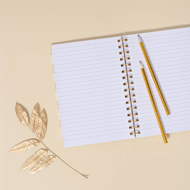 View of desk from above with open school notebook with blank pages and pencils for writing notes decorated natural autumn leaves. Autumnal education concept with copy space. - Фото, зображення
