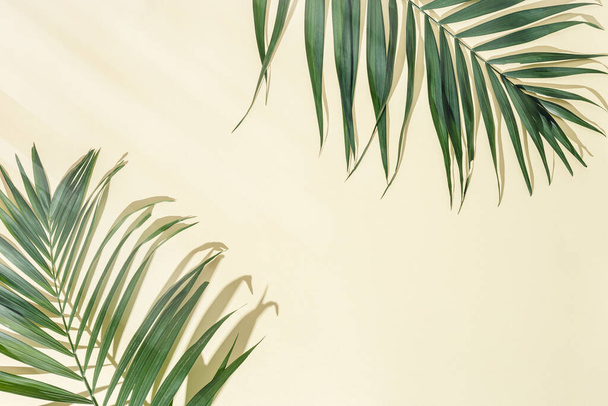 Summer minimal background with natural green palm leaves with sun shadows on light yellow paper with copy space. Pastel colored aesthetic photography with palm plant. - Photo, Image
