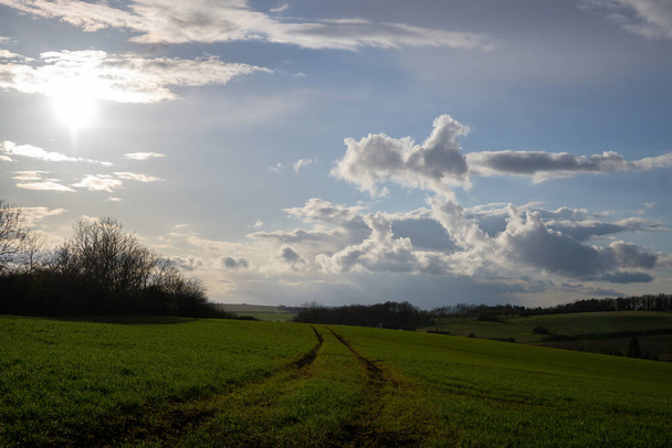 Landscape in early spring - Photo, image