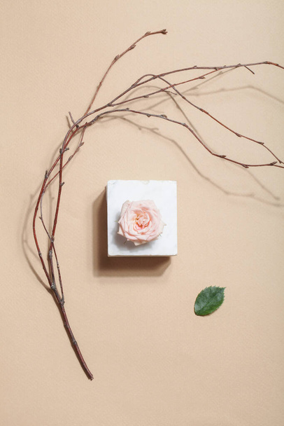 Ваби Саби, концепция органического дизайна. Скандинавские и японские цветы. розовая роза на мраморе, сухая ветвь дерева и зеленый лист на бежевом фоне - Фото, изображение