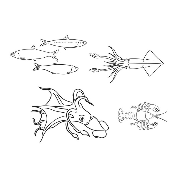 Nahtloses Muster mit Unterwasserpflanzen und -tieren. Handgezeichnete monochrome Seesterne, Muscheln, Tintenfische, Fische, Seepferdchen und Algen. Vektorskizze. - Vektor, Bild