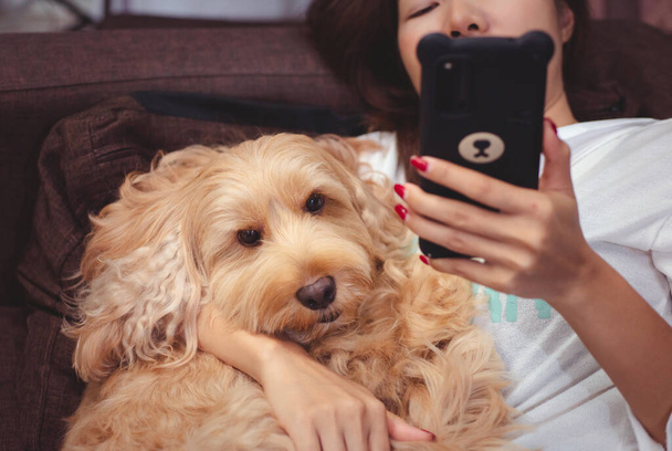 Mascota y propia. Linda mujer asiática sostiene cachorro cachorro cachorro perro uso smartphone en sofá. Divertido perro cocker jugar con el propietario. Cachorro adorable, animal reproductor mixto (piel marrón Cocker Spaniel + pequeño Poodle) - Foto, imagen