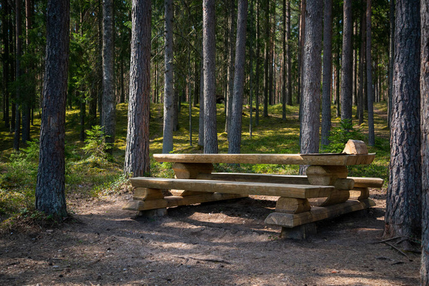 Дерев'яний журнальний стіл і крок у кемпінгу для туристів у лісі. Місце відпочинку в лісі
. - Фото, зображення