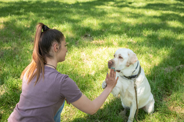 Young beautiful woman sits in the park with her pet dog a golden Labrador Retriever and tries to teach him and trains him to give a paw as a greeting by rewarding him with a cookie - Foto, Imagen