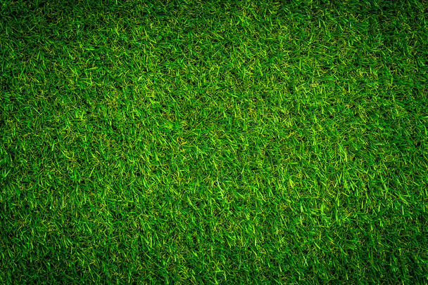 green grass texture background - Photo, Image