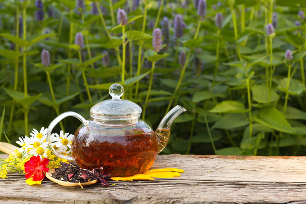 Tee in der Natur. Stillleben mit Hibiskustee vor dem Hintergrund blühender Minze. Zubereiteter Tee, trockener Tee, Rosenblätter und Kamille stehen auf einem alten Holztisch.. - Foto, Bild