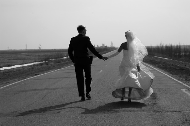 Newly-married couple goes on road afar keeping for hands - Foto, immagini