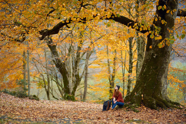 kobieta turysta pod drzewem jesienią las krajobraz żółty liście jesień - Zdjęcie, obraz