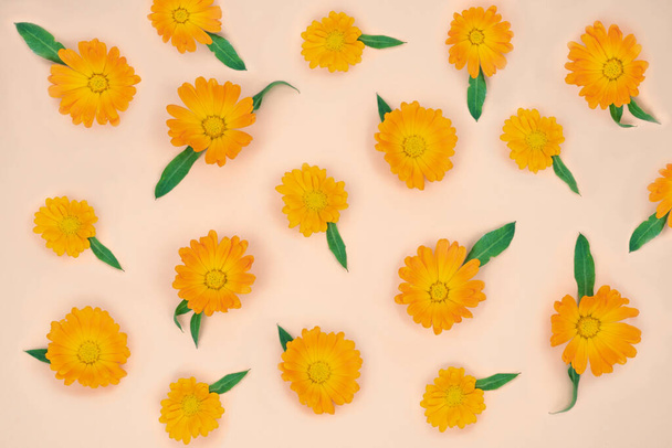 Κίτρινα λουλουδάκια με φύλλα. Αντιγραφή χώρου. Επίπεδη. - Φωτογραφία, εικόνα