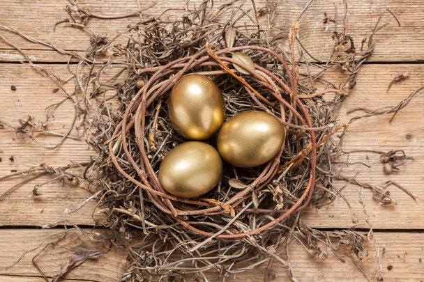Golden eggs in the nest - Photo, Image