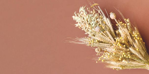 Creative layout from dried flowers and natural dry cereals on beige background. Savior of the Honey Feast Day or Healing colors of nature. Close-up - Photo, Image