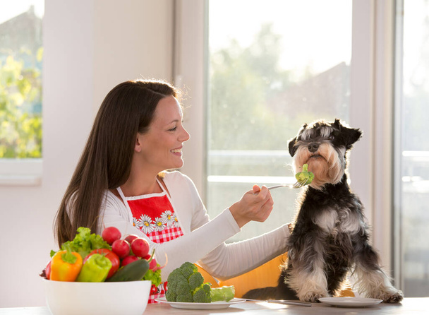 Menina feliz alimentando cão infeliz com brócolis na mesa da cozinha - Foto, Imagem