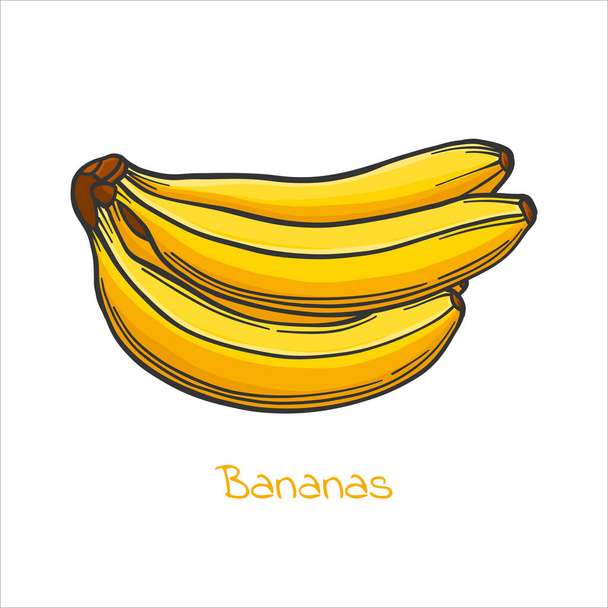 Banana in cartoon style, vector image. - Vektor, obrázek