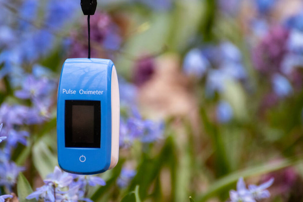 Pulsoximeter buiten close-up met lente blauwe scilla bloemen achtergrond. Blauwe zuurstofverzadigingsmeter (SPO2) met leeg scherm en selectieve scherpstelling wazig. Ruimte voor kopieertekst - Foto, afbeelding