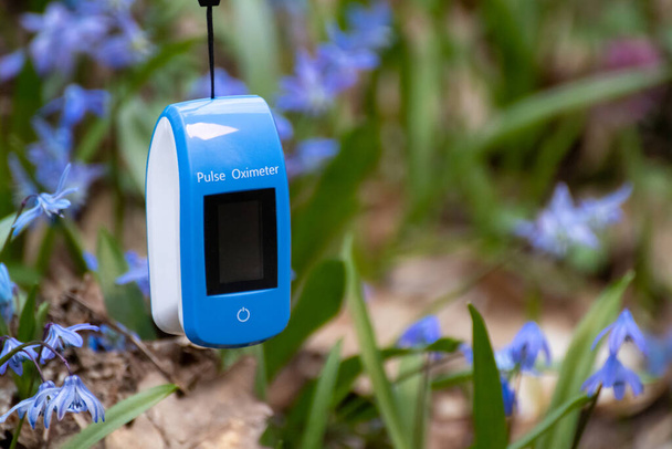 Pulse oximeter outdoors close-up with spring blue scilla flowers background. Blue oxygen saturation meter (SPO2) with empty screen and selective focus blur. Space for copy text - Photo, Image