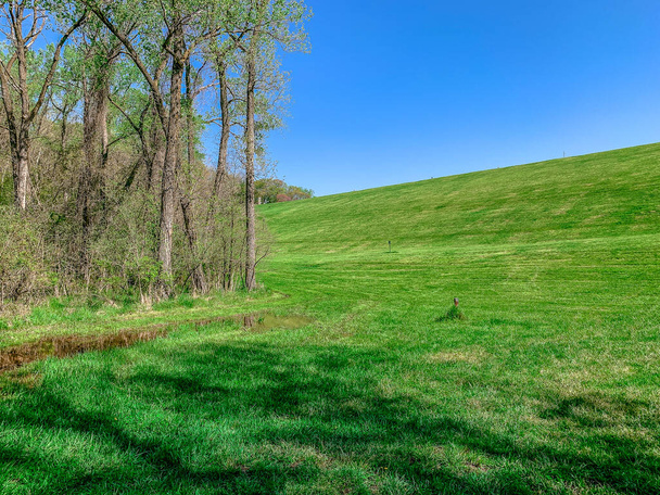 Groene heuvel en blauwe lucht op het platteland - Foto, afbeelding