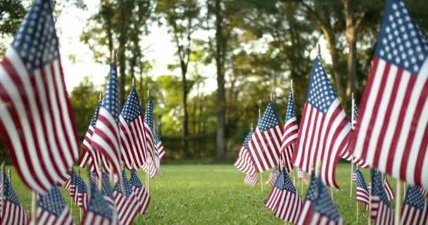 Buiten in het zonlicht, passerend door rijen langzame zwaaiende Amerikaanse vlaggen die door de wind waaien. Patriottisch concept voor USA vakanties, 4 juli, Memorial Day, of Veteranendag. - Video