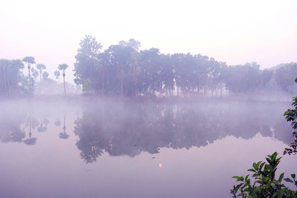 järvi ja metsä näkymä taivaalle lähikuva aamulla - Valokuva, kuva