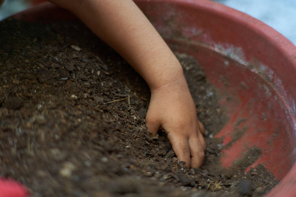 παιδικό χέρι μέσα σε γλάστρα με χώμα. Ενότητα κηπουρικής - Φωτογραφία, εικόνα