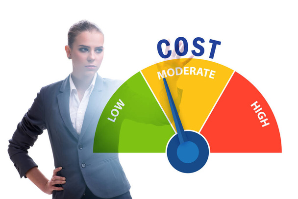 Businesswoman in cost management concept - Photo, Image