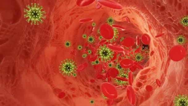 Glóbulos rojos que fluyen con virus en una arteria. 3d video - Imágenes, Vídeo