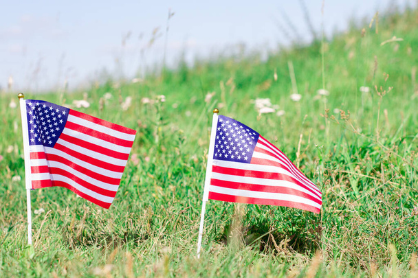 Un gruppo di bandiere americane. Piccole bandiere in un campo. Omaggio ai veterani. - Foto, immagini