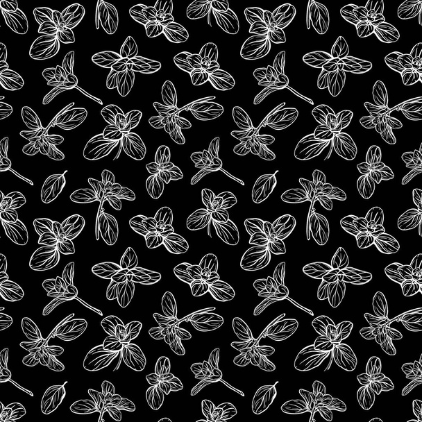  Basil Seamless Pattern. Italienische Kräuter.Ein Zweig Majoran. Basilikum ist eine duftende und duftende Gewürzmischung. Handgezeichnete Illustration - Vektor, Bild