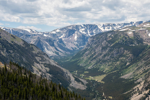 Вид на природу в Кастерском национальном лесу, Монтана - Фото, изображение