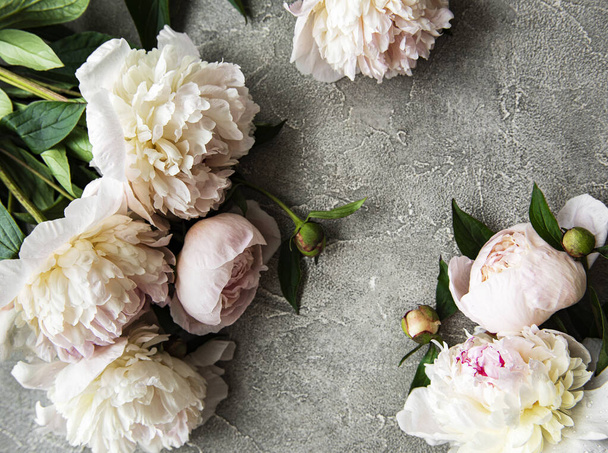 Φρέσκο ροζ παιώνιος λουλούδια σύνορα με αντίγραφο χώρου σε γκρι φόντο τσιμέντο, επίπεδη lay.  - Φωτογραφία, εικόνα