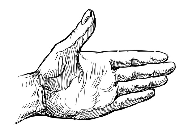 Human hand - Vettoriali, immagini