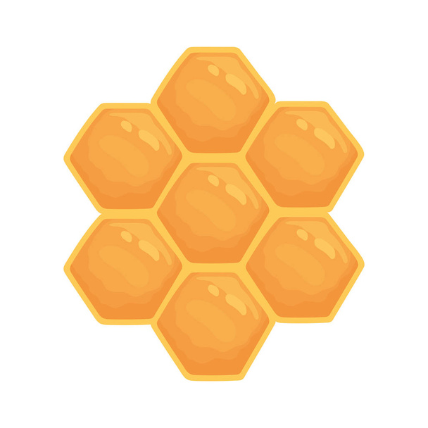 honeycomb sweey honey - Vector, Image