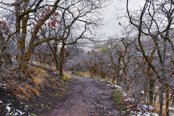 Little Black Mountain Peak caminhadas trilha vistas por Salt Lake City, na neve inverno através Bonneville Shoreline Trail, Wasatch Front Rocky Mountains, Utah. Estados Unidos. - Foto, Imagem