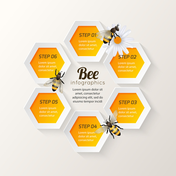 Fasi infografiche delle api
 - Vettoriali, immagini