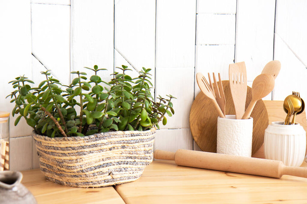 Przybory kuchenne i drewniane naczynia oraz zielona roślina w doniczce na drewnianej półce - Zdjęcie, obraz