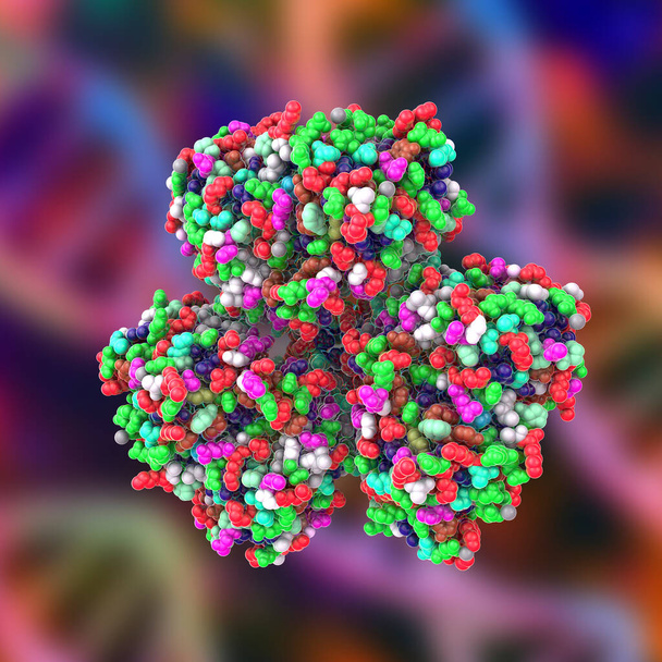 HTT遺伝子によってコードされるタンパク質であるHuntingtinタンパク質の分子、 3Dイラスト。変異HTTはハンティントン病の原因であり、これはニューロ変性疾患であり、ハンティントンの振付とも呼ばれている。 - 写真・画像