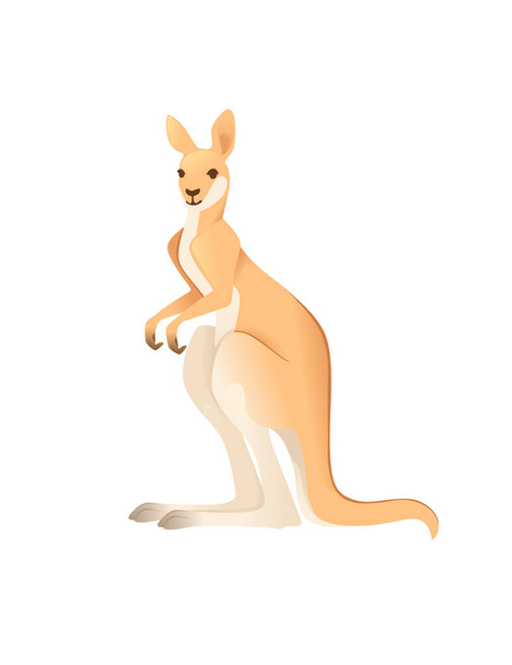 Roztomilý dospělý klokan australský zvíře kreslený zvířecí design vektor ilustrace izolované na bílém pozadí - Vektor, obrázek