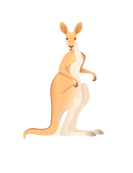 Симпатичный взрослый кенгуру австралийского животного рисунок животного дизайна вектор иллюстрации изолированы на белом фоне - Вектор,изображение