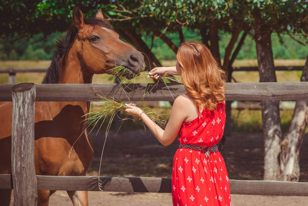 Woman in fashionable Bohemian casual style with horses on a farm, pets animals in village at rancho. Horses are human friends - Photo, Image