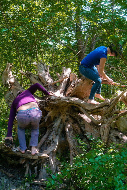 A vertical shot of a Caucasian couple climbing on a tree - Foto, Bild