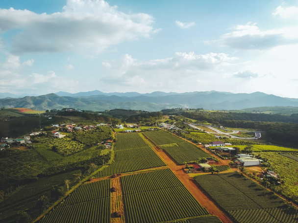 Aerial view of Tam Chau tea plantation in Bao Loc city, Lam Dong province, Vietnam. Travel and landscape concept. - Фото, изображение