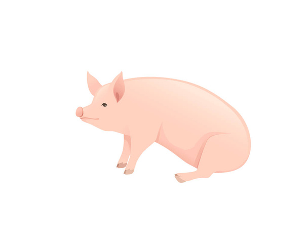 mignon adulte porc ferme animal dessin animé animal conception vectoriel illustration isolé sur fond blanc - Vecteur, image