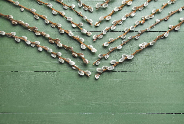 rami di salice su sfondo di legno colore - Foto, immagini